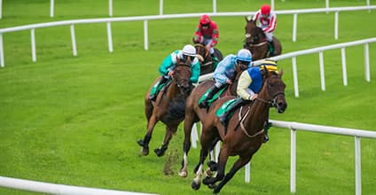 Kentucky Derby Betting Preview